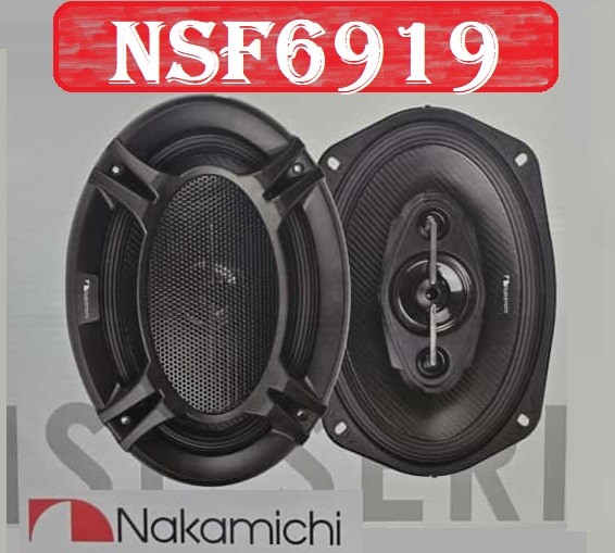 Nakamichi NSF6919 باند بیضی ناکامیچی